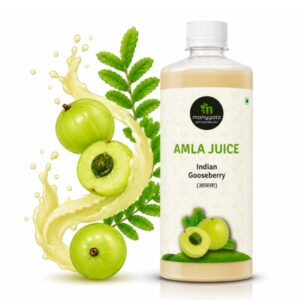 Pure Amla Juice for Immunity and Hair by Manyyata Foods in Ahilyanagar
