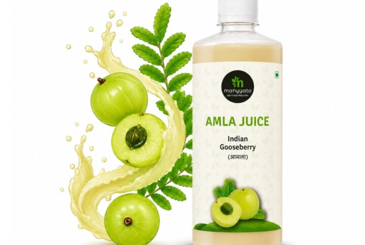 Pure Amla Juice for Immunity and Hair by Manyyata Foods in Ahilyanagar